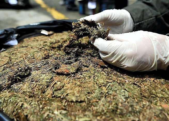 Colombia: Santos firma decreto que reglamenta el uso medicinal de la marihuana