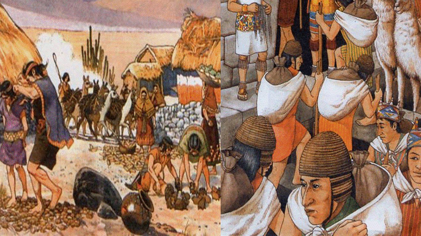 La alimentación de los Incas: Conoce la base de los alimentos que los hizo vivir tantos años 