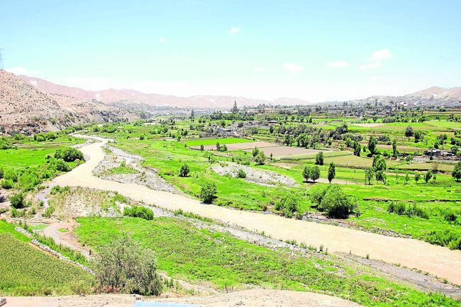 Arequipa: En solo 2 años se perdió 872 héctareas de cultivos