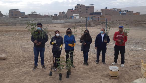 Vecinos hicieron arborización en terreno destinado para área recreativa que no es atendida por la Municipalidad Provincial de Tacna.