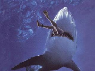 Surfista australiano muere tras ataque de tiburón