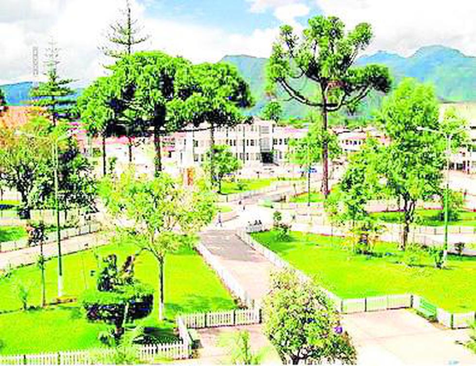 Oxapampa: Más de 30 mil héctareas de bosques deforestados 