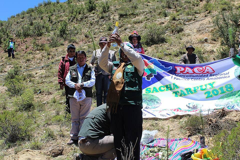 ​Mancomunidad PACA siembra un millón de árboles y pinos