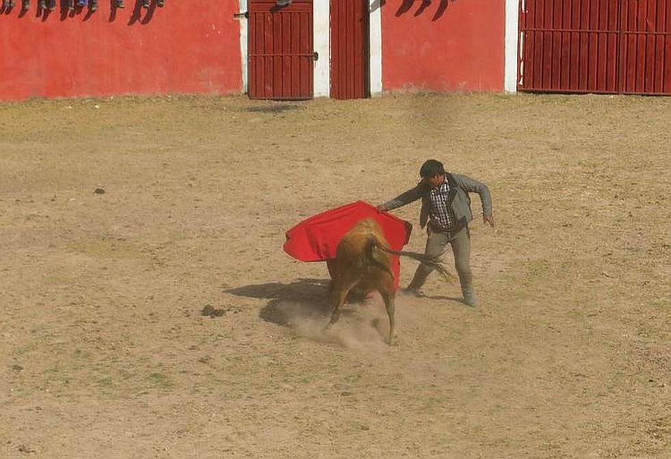 Corridas de toros en las  que no se sacrifican animales (FOTOS)