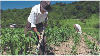 Pese a que se creó hace tres meses, pequeños productores aún no reciben créditos del FAE-Agro