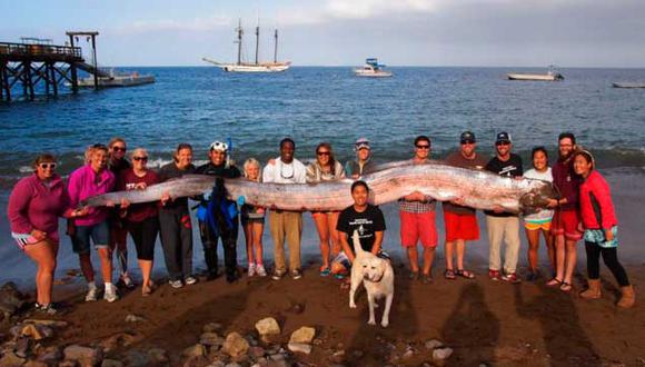Foto de serpiente marina gigante en California se convierte en viral