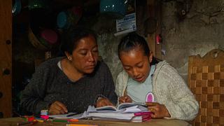 Dificultades de la educación a distancia para los niños con padres analfabetos en México