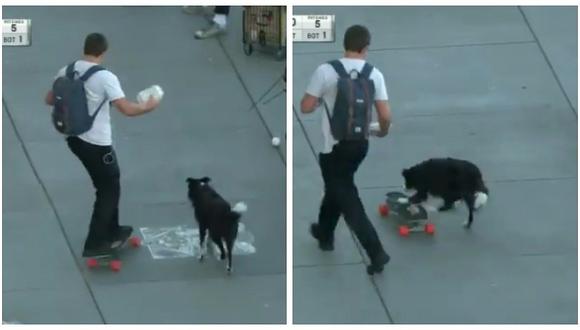 Twitter: Perro muestra toda su habilidad sobre un skate (VIDEO)
