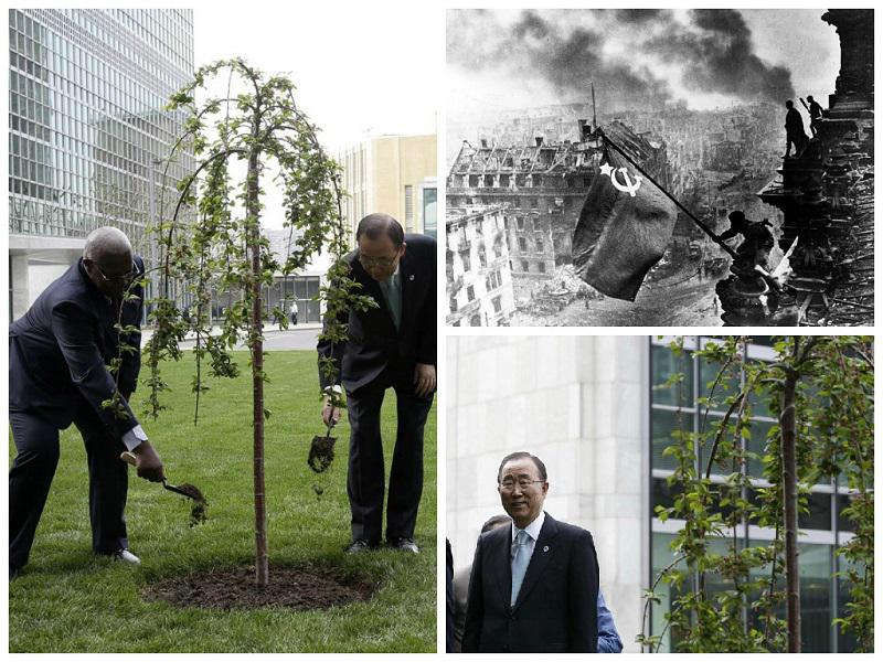 ONU recuerda el fin de la II Guerra Mundial con un árbol símbolo de la paz