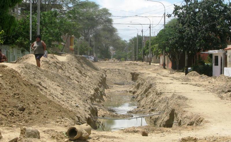 Tambogrande es zona endémica por enfermedad de leptospirosis