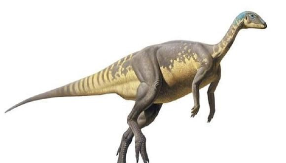 Portugal: Hallan nueva especie de dinosaurio enano del Jurásico Ibérico