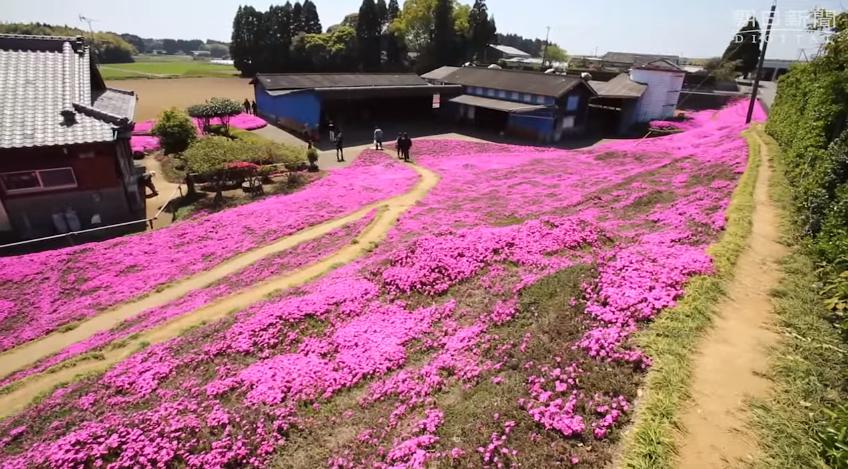YouTube: Tierno gesto de hombre conmueve a cibernautas 