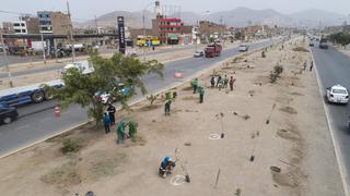 Lima Norte: Inician recuperación de la berma central de la avenida Canta Callao