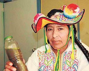 Activista ambiental dice que 10 plantas son trabajo de la sociedad civil regional