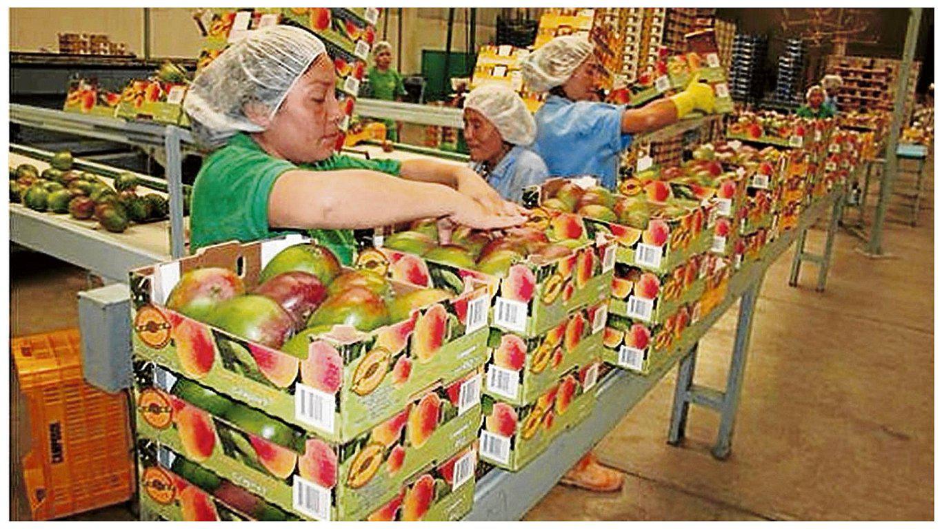 Piura es la quinta región que registra crecimiento en sus exportaciones