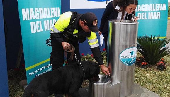 Magdalena: instalan bebederos para mascotas y personas (FOTO Y VÍDEO)
