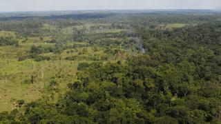 Minam: Deforestación en la Amazonía peruana se redujo en 4.1 %