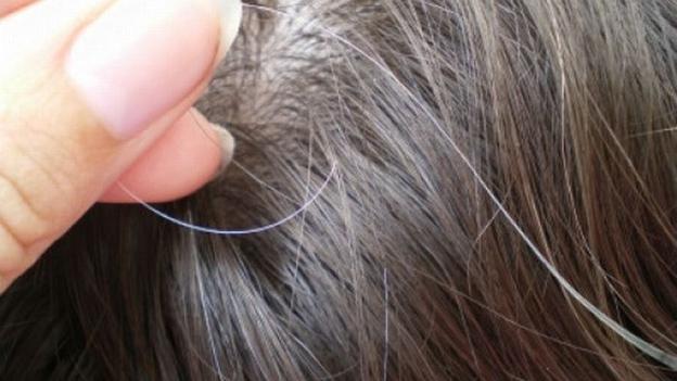 Salud: ¿Al quitarnos una cana aparecen más? Esto es lo que en verdad sucede 