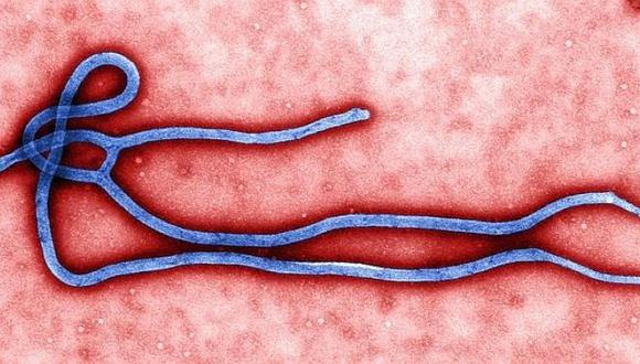 Ébola: 10 cosas que debes saber sobre la vacuna que se está creando