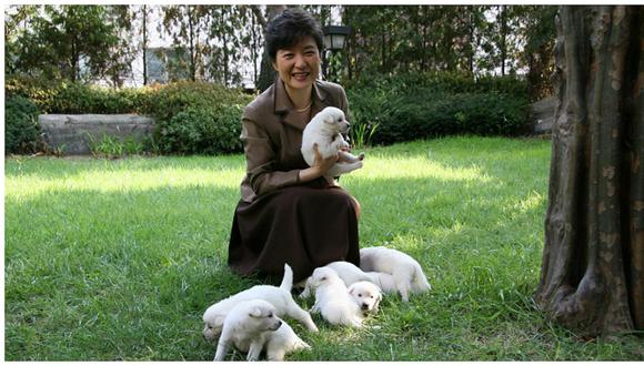 ​Corea del Sur: critican a Park por abandonar sus 9 perros en palacio presidencial