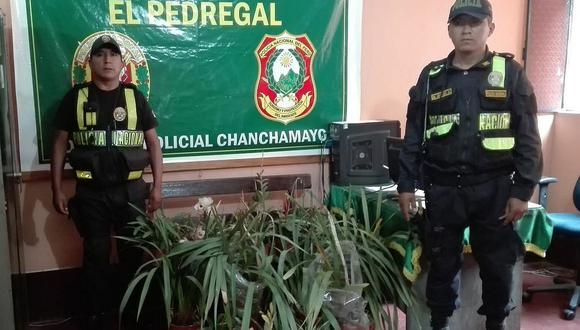 Chanchamayo: En la carretera abandonan cargamento ilegal de orquídeas 