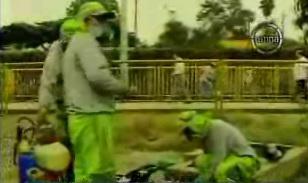 Iniciaron labores de desratización en Trébol de la Javier Prado