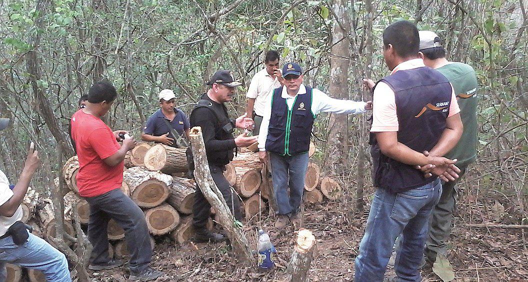 Tumbes: El Parque Nacional los Cerros de Amotape está amenazado