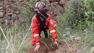 Bomberos participan en reforestación de zonas arrasadas por incendios forestales (FOTOS)