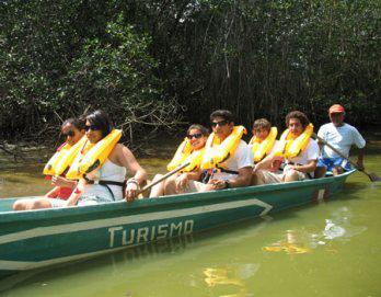 El Santuario Nacional de los Manglares de Tumbes lo espera