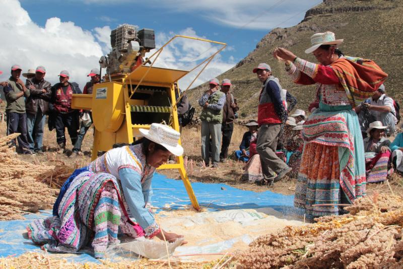 Quinua de Canacota y Tuti en Mistura 2013