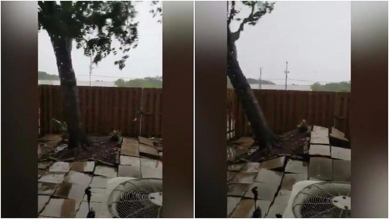 Huracán Irma: el preciso momento en el que arranca un árbol de raíz (VIDEO)