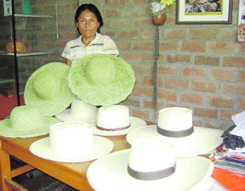 El junco por el sombrero blanco