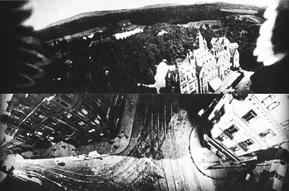 Así eran usados los animales en la Primera Guerra Mundial (FOTOS)