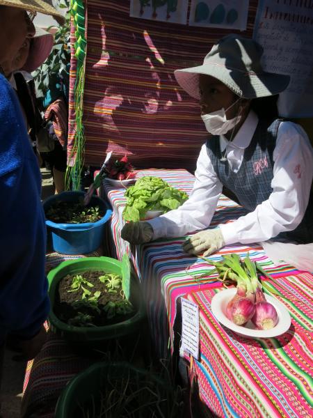 Usan orina para fertilizar huerto escolar