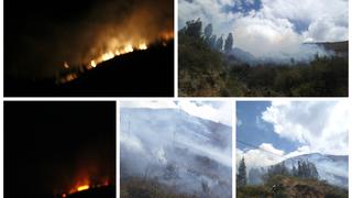 Pasco: incendio forestal deja un muerto y dos heridos