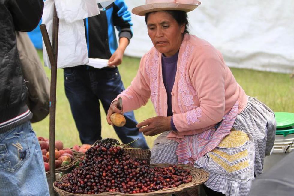 La guinda en su máximo esplendor en festival de Huamancaca Chico 