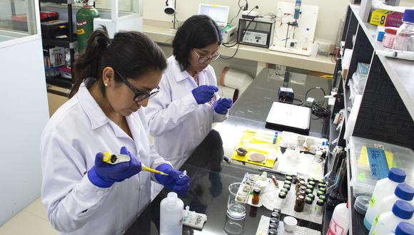 Concytec lanza concurso “Becas de mentorías María Reiche” para mujeres científicas. (Foto: CONCYTEC)