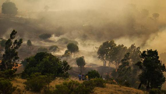 Chile: Incendio consume más de 3,800 hectáreas de bosques