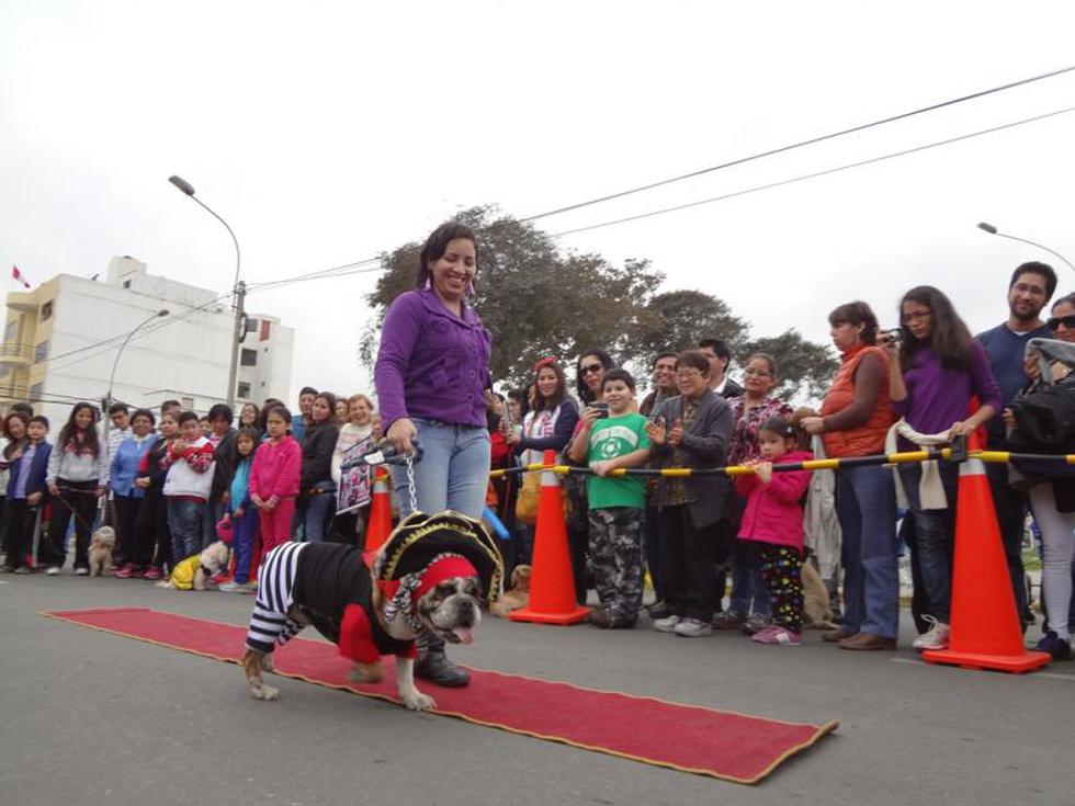 Perroton 2014: Canes lucieron sus mejores disfraces (FOTOS)
