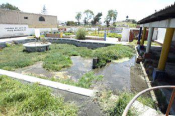 "Queremos más áreas verdes y recreativas"