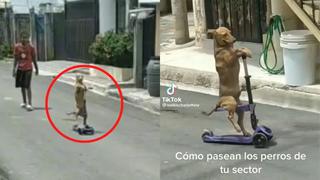 TikTok: Graban a perrito montando patín eléctrico y se vuelve viral (VIDEO)