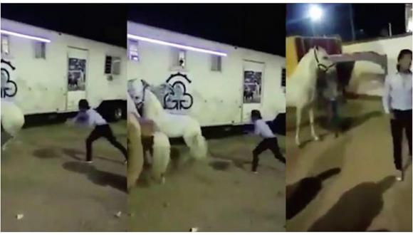 ​Facebook: el salvaje ataque a un caballo que indigna las redes sociales (VIDEO)