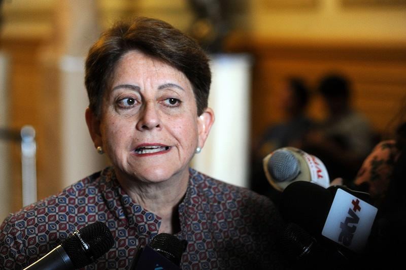 Lourdes Alcorta sobre Dinileaks: "Lamentable, vergonzosa y hasta obscena"