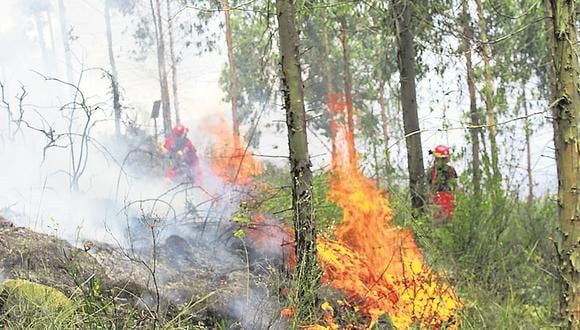 Infierno en la naturaleza: ola de incendios forestales en Perú