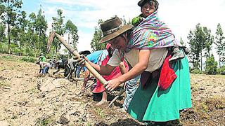 Agricultura familiar recibió inversión de 1500 millones de soles