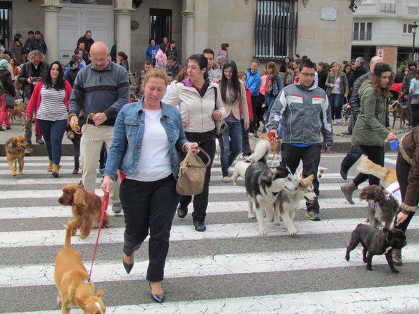 Alistan en Ilo marcha por los derechos de los animales