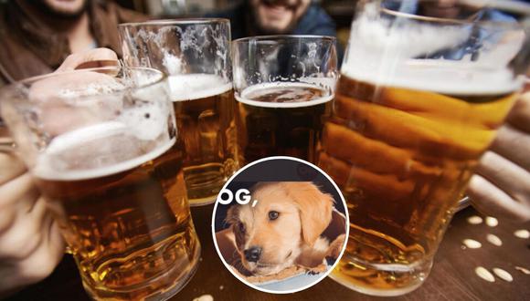 Cervecería ofrece tres meses de cerveza gratis a quienes adopten un perro en cuarentena.