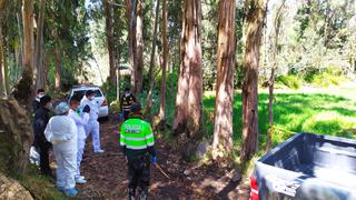 Canes devoran cadáver de varón en una chacra de Huancayo