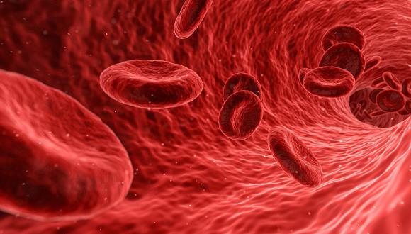 ¿Sabías que la ciencia ya sabe cómo crear sangre?