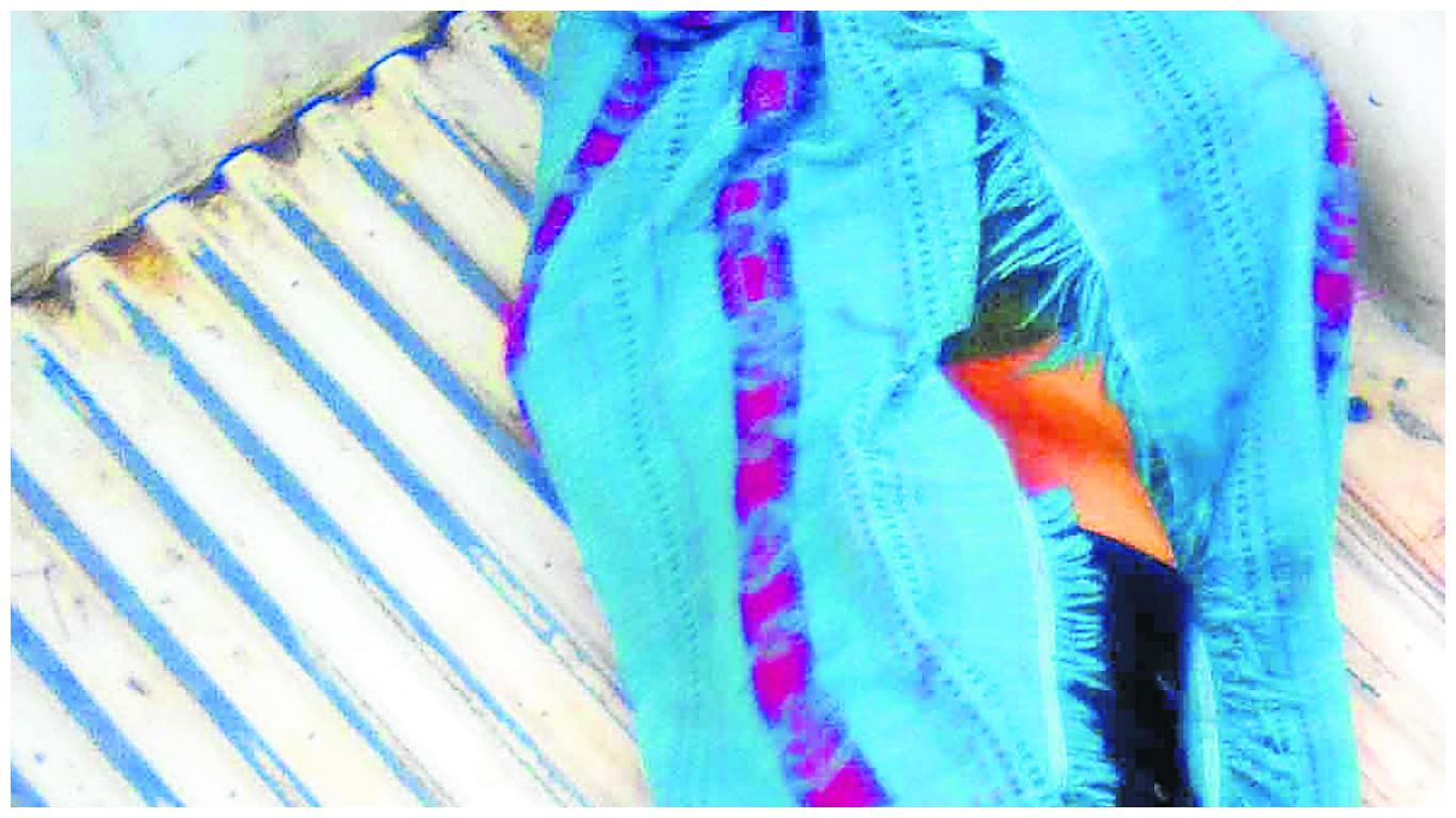 Le pasan cuy a joven para curarlo y aparece muerto en descampado